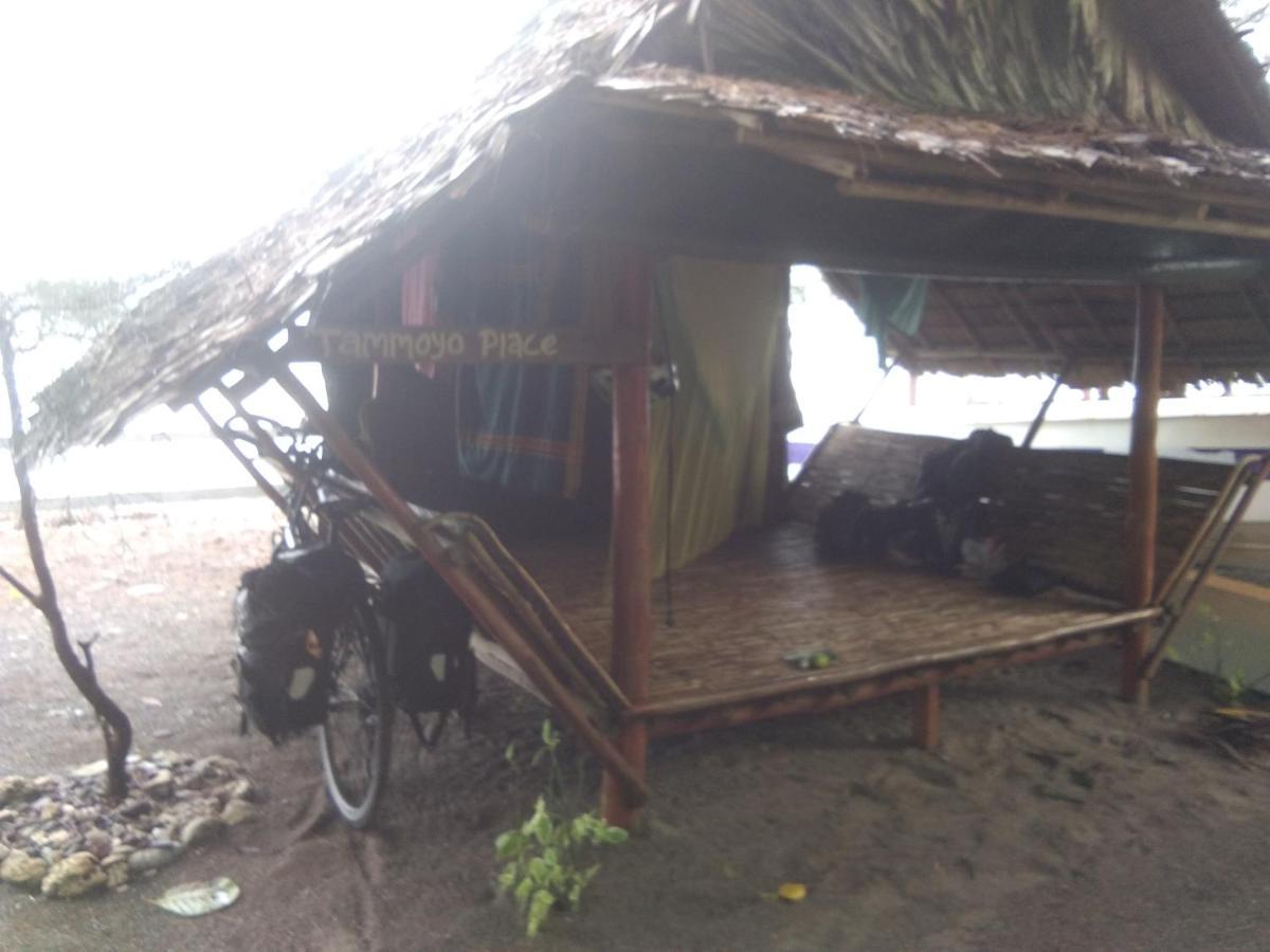 Tammoyo Place Kudat Exterior foto
